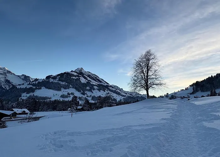 Wundervolle Alpenferien In * Frutigen