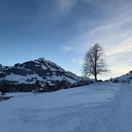 Wundervolle Alpenferien In * Frutigen
